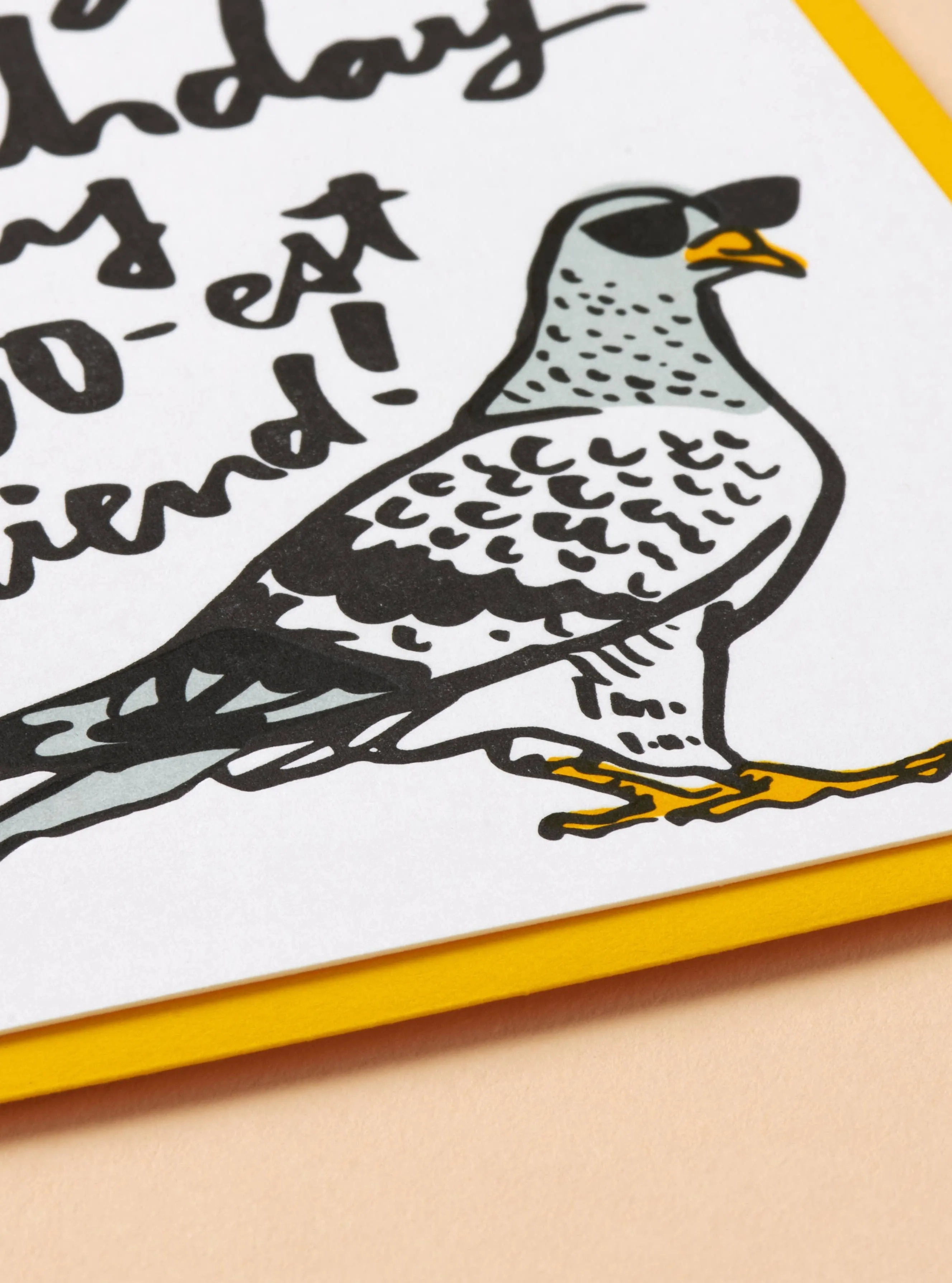 Cool Pigeon Birthday Card