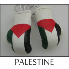 Palestine Mini Boxing Glove